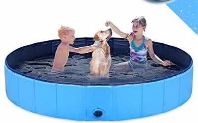GoStock Dog Pool for Dogs, Folding Kiddie Pool, Pet Pools for Dogs, Collapsible Pool for Dogs (XXL:140×30(63inch.D x 12inch.H))