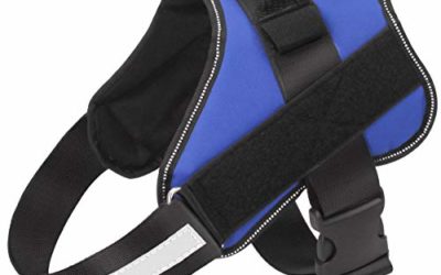 Dog Harness No Pull Reflective Adjustable Pet Vest with Handle for Outdoor Walking- No More Pulling, Tugging or Choking(Blue,L)