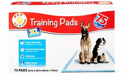 Pet All Star Extra Large Training Pads, 75 count