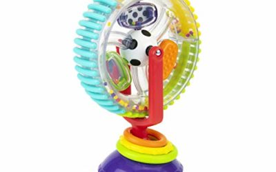 Sassy Wonder Wheel Activity Center