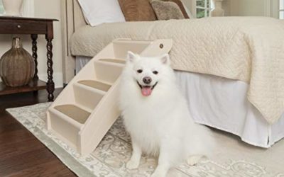 PetSafe Solvit PupSTEP Plus Pet Stairs, X-Large, With Foldable Stand for Dogs and Cats, Best for Medium to Large Pets