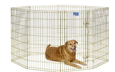 MidWest Homes for Pets Folding Metal Exercise Pen / Pet Playpen