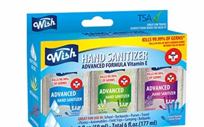 Wish Hand Sanitizer 2oz 3PK Box Set Pocket Size Assorted Scents