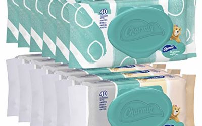 Charmin Freshmates Flushable Wet Wipes for Adults, 12 Resealable Packs, 40 Wipes per Pack (480 Wipes Total)