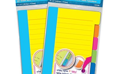 Redi-Tag Divider Sticky Notes, Tabbed Self-Stick Lined Note Pad, 60 Ruled Notes per Pack, 4 x 6 Inches, Assorted Neon Colors, 2 Pack (10290)