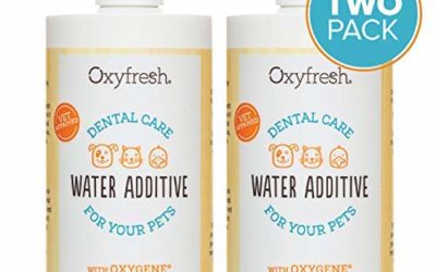Oxyfresh Premium Pet Dental Care Water Additive: Best Way to Eliminate Bad Dog Breath & cat Breath – Fights Tartar & Plaque – So Easy, just add to Water! Vet Recommended!