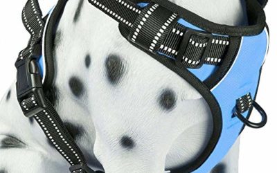 PoyPet No Pull Dog Harness, Reflective Vest Harness with 2 Leash Attachments and Easy Control Handle for Small Medium Large Dog(Light Blue,M)