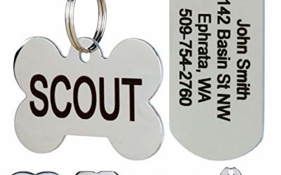 GoTags Stainless Steel Pet ID Tags, Personalized Dog Tags and Cat Tags, up to 8 Lines of Custom Text Engraved on Both Sides, in Bone, Round, Heart, Bow Tie, Flower, Star and More (Rectangle, Small)