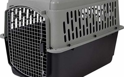 Aspen Pet Porter Heavy-Duty Pet Carrier with Secure Lock, 9 Sizes, 13 Colors