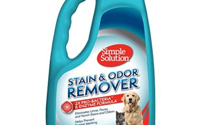 Simple Solution Pet Stain and Odor Remover | Enzymatic Cleaner with 2X Pro-Bacteria Cleaning Power | 1 Gallon
