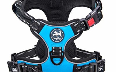 PoyPet No Pull Dog Harness, No Choke Front Lead Dog Reflective Harness, Adjustable Soft Padded Pet Vest with Easy Control Handle for Small to Large Dogs(Blue,L)