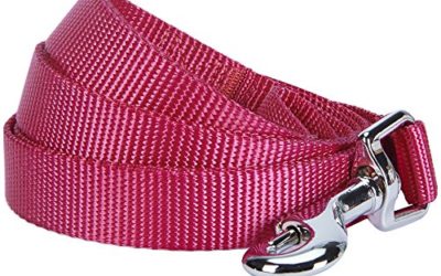 Blueberry Pet Essentials 19 Colors Durable Classic Dog Leash 5 ft x 3/4", Very Berry, Medium, Basic Nylon Leashes for Dogs
