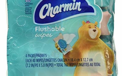 Charmin Flushable Wipes, 4 packs, 40 Wipes Per Pack, 160 Total Wipes