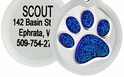 GoTags Paw Print Round Stainless Steel Pet Tag for Dogs and Cats, Personalized with 4 Lines of Custom Engraved ID, in Solid Stainless Steel and 5 Enameled Colors: Blue, Green, Pink, Purple and Red