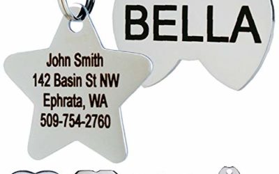 GoTags Stainless Steel Pet ID Tags, Personalized Dog Tags and Cat Tags, up to 8 Lines of Custom Text Engraved on Both Sides, in Bone, Round, Heart, Bow Tie, Flower, Star and More (Star, Regular)