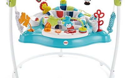 Fisher-Price Color Climbers Jumperoo