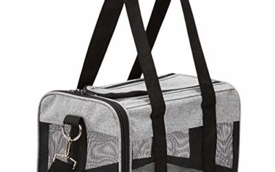 AmazonBasics Soft-Sided Pet Travel Carrier – Grey, Small