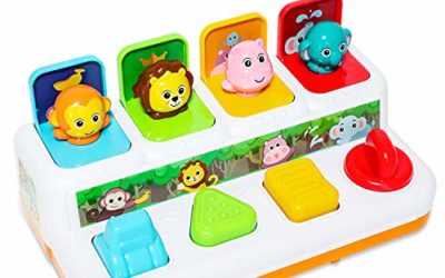 baccow Baby Toys 6 to 12-18 Months Musical Learning Pop-up Toys for 1 2 3 Year Old Boys Girls Gifts Kids Toddler Infant Sensory Toys