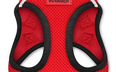 Voyager Step-in Air Dog Harness – All Weather Mesh, Step in Vest Harness for Small and Medium Dogs by Best Pet Supplies – Red Base, XXS (Chest: 10.5-13" Fit Cats)
