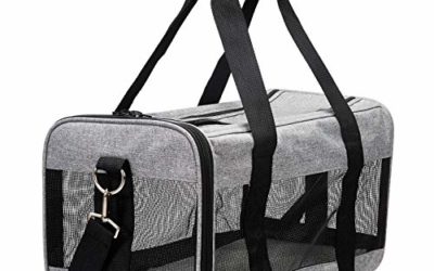 AmazonBasics Soft-Sided Pet Travel Carrier – Grey, Medium