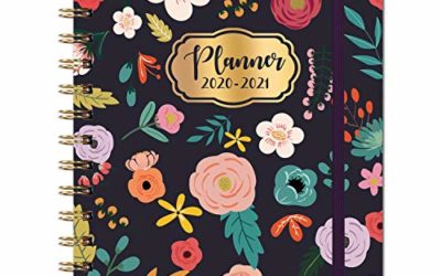 2020-2021 Planner – Academic 2020-2021 Planner with Weekly & Monthly Pages, Jul 2020-Jun 2021, 6.4" x 8.5", Hardcover, Strong Binding, Tabs, Inner Pocket, Elastic Closure, Perfect for School