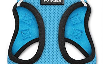 Voyager Step-in Air Dog Harness – All Weather Mesh, Step in Vest Harness for Small and Medium Dogs by Best Pet Supplies