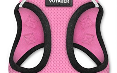 Voyager Step-in Air Dog Harness – All Weather Mesh, Step in Vest Harness for Small and Medium Dogs by Best Pet Supplies – Pink Base, XXS (Chest: 10.5-13" Fit Cats) (207-PKB-XXS)