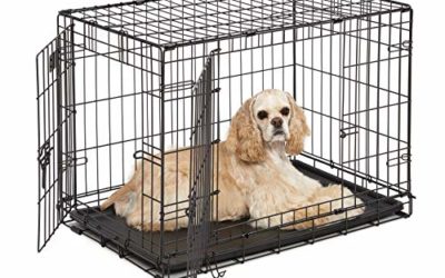 Dog Crate | MidWest ICrate 30 Inch Double Door Folding Metal Dog Crate w/ Divider Panel, Floor Protecting Feet & Leak Proof Dog Tray | 30L x 19W x 21H Inches, Medium Dog Breed, Black