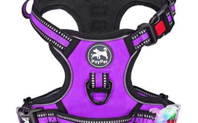 PoyPet LED Flashing Light No Pull Dog Harness Front 3M Reflective Pet Vest for Dogs with Easy Control Handle 3 Buckles Perfect for Daily Training,Walking Running(Purple,M)