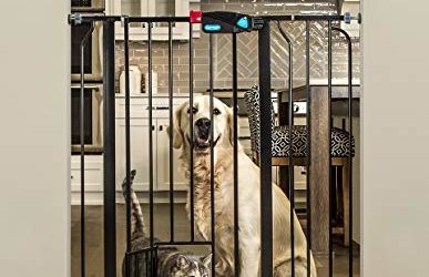 Carlson Extra Tall Walk Through Pet Gate with Small Pet Door, Includes 4-Inch Extension Kit, 4 Pack Pressure Mount Kit and 4 Pack Wall Mount Kit, Black