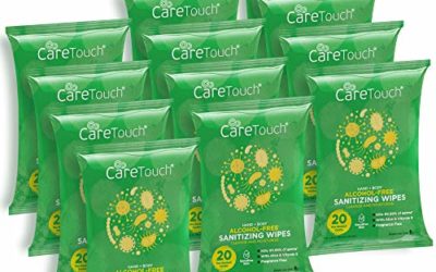 Care Touch Alcohol-Free Hand Sanitizing Wipes | 12 Pouches of 20 Wipes (240 Total) | Antibacterial Hand Wipes with Vitamin E + Aloe Vera for Babies and Adults | Made in The USA