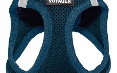 Voyager Step-in Air Dog Harness – All Weather Mesh, Step in Vest Harness for Small and Medium Dogs by Best Pet Supplies – Blue (Matching Trim), L (Chest: 18-21")
