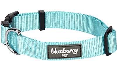 Blueberry Pet Essentials 22 Colors Classic Dog Collar, Mint Blue, X-Small, Neck 8"-11", Nylon Collars for Dogs