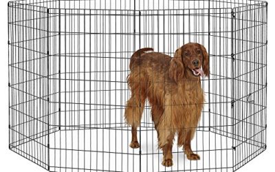 New World Pet Products B556-42 Foldable Exercise Pet Playpen, Black, Large/24" x 42"