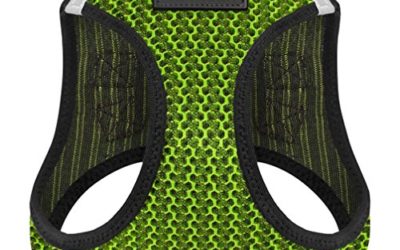 Voyager Step-in Air Dog Harness – All Weather Mesh, Step in Vest Harness for Small and Medium Dogs by Best Pet Supplies