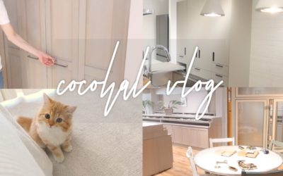 ［vlog］マンションリフォーム、建材探し。和風ジュレのお刺身で夏レシピ。二子玉川公園。