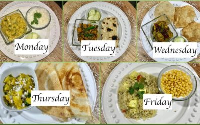 Monday To Friday Indian Summer  Dinner Recipes | Quick  Dinner Ideas | Simple Living Wise Thinking