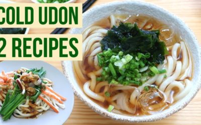 Cold Udon Noodles: 2 Summer Recipes.