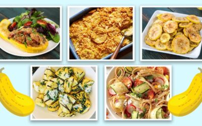 14 Easy Squash Recipes | Summer Squash and Zucchini Recipe Compilation