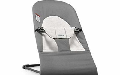 BabyBj&ouml;rn Bouncer Balance Soft, Cotton/Jersey, Dark Gray/Gray (005084US)