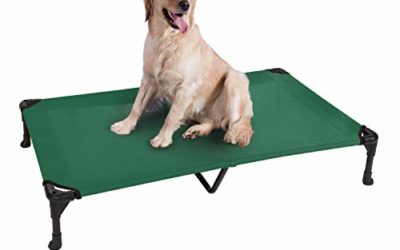 Veehoo Cooling Elevated Dog Bed, Portable Raised Pet Cot with Washable & Breathable Mesh, No-Slip Rubber Feet for Indoor & Outdoor Use, X Large, Green
