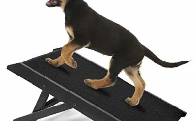 IN HAND Adjustable Pet Ramp, Folding Portable Dog & Cat Access Perfect for Beds and Cars, Non Slip Free Standing Wide Ramp Support 160 Lbs Large Dogs, Black