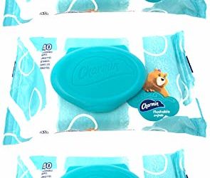 Charmin Flushable Wipes, 40 Count (Pack of 3)