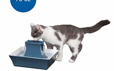 PetSafe Cat and Dog Water Fountain – Automatic Water Dispenser – Drinkwell Pagoda Ceramic Fountain for Pets – Filter Included – Blue – 70 oz, Model:PWW00-14898