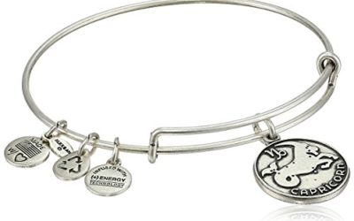 Alex and Ani Capricorn II Expandable Rafaelian Silver-Tone Wire Bangle Bracelet, 7.25"