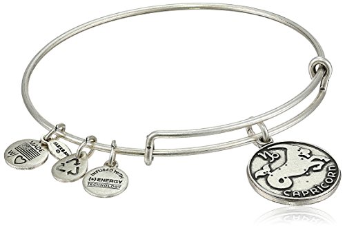 Alex and Ani Capricorn II Expandable Rafaelian Silver-Tone Wire Bangle Bracelet, 7.25"