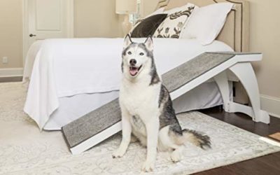 PetSafe CozyUp Bed Ramp – Durable Wooden Frame Supports up to 120 lb – Furniture Grade Wood Pet Ramp with White Finish – High-Traction Carpet Surface – Great for Older Dogs and Cats