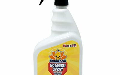 Bodhi Dog Not Here! Spray | Trains Your Pet Where Not to Urinate | Repellent & Training Corrector for Puppies & Dogs | for Indoor & Outdoor Use | No More Marking | Made in The USA