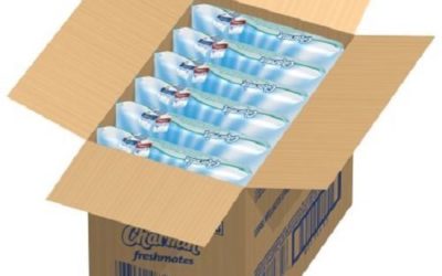 Charmin Freshmates Flushable Wipes Refills,Safe for sewer and septic systems, 12 refill packs of 40 sheets each, 480 sheets