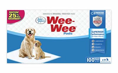 Wee-Wee Puppy Training Pee Pads 100-Count 22" x 23" Standard Size Pads for Dogs